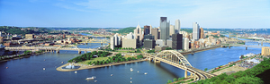 Skyline with the Delaware River Pittsburgh PA 10353