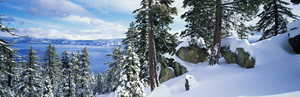 snow trees on mountainside Lake Tahoe Nevada US 104889