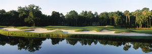 Lake at Kiawah Island Golf Resort South Carolina 115770