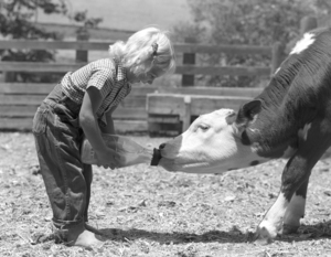 1950s LITTLE GIRL FEEDING CALF FROM A MILK BOTTLE 186276