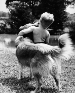 1940s 1950s 1960s BACK VIEW OF BOY AND DOG HUGGING 186568