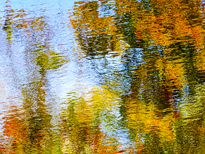 Ripples and reflections of autumn trees in water 247192