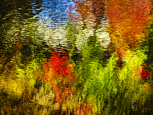 Multicolored ripples & autumn reflections in water 247796