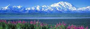 Mountains & Lake Denali National Park AK USA 41283