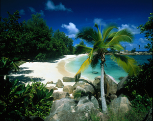 Petite Anse shoreline Praslin Seychelles 44637
