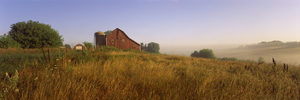 Barn in a field - Dodgeville Wisconsin USA 67615