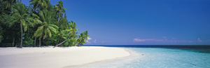 White Sand on the Beach Maldives 69980