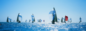 Sailboat Race Key West Florida USA 74011