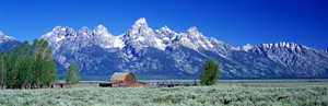 Barn in front of Mtns Grand Teton Ntl Pk Wyo US 85446