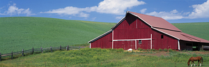 Red Barn With Horses Whitman County Wash. USA 85449
