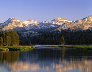 Tuolumne River flowing thru forest Yosemite National Park CA USA 89171