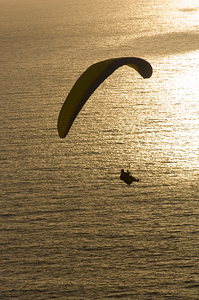 Paraglider flying over the Pacific Ocean S.D CA 99134