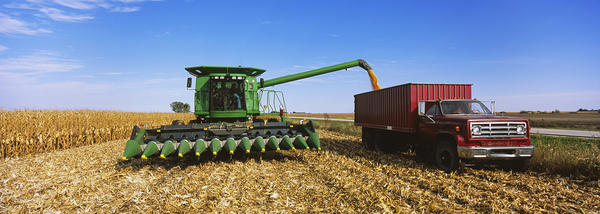 Combine loading corn grains into a truck MN USA 108398 by Panoramic Images