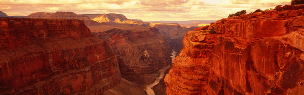 Toroweap Point Grand Canyon Arizona USA 32093 by Panoramic Images