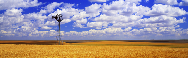 Windmill in a Wheat Field - Othello Washington USA 68366 by Panoramic Images