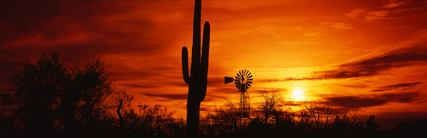 Sunset Sonoran Desert Arizona USA 7696 by Panoramic Images