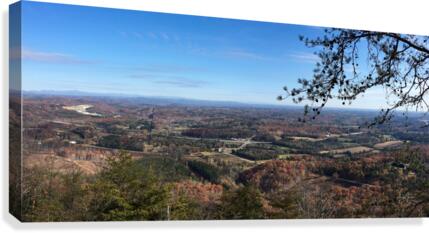 IMG_0159.CM Canvas Print