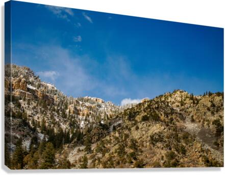 DSC02283.ys Canvas Print