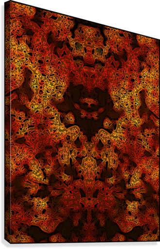 INNER SPACE Canvas Print