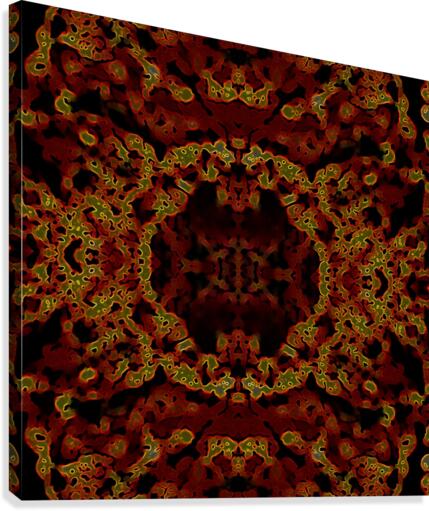 SURVEILLANCE Canvas Print