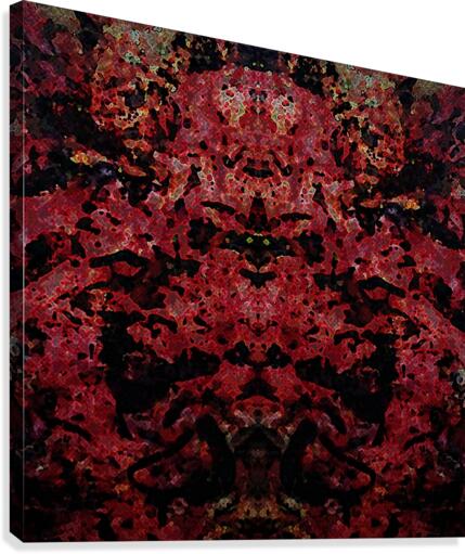 EINSTEIN Canvas Print