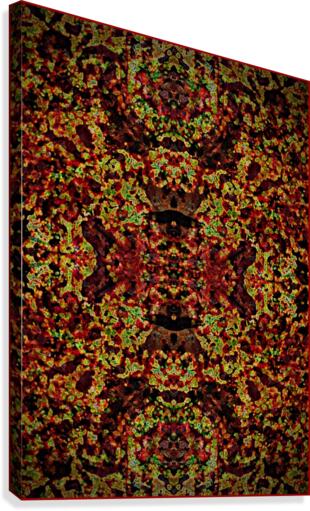 X Canvas Print