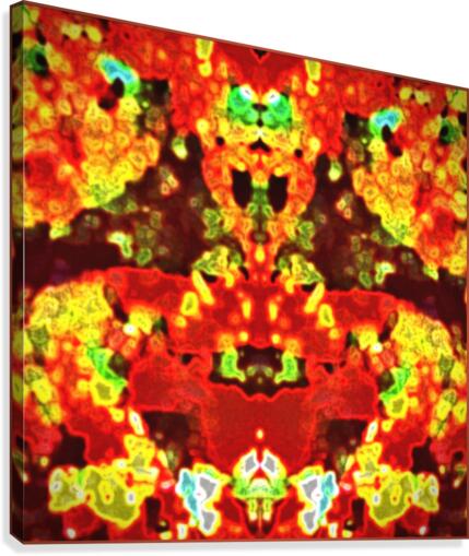 A BRAGGER Canvas Print
