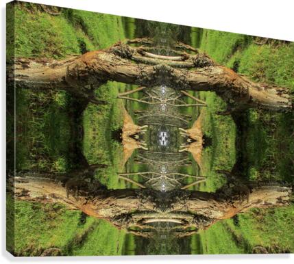 A DEVIDER Canvas Print