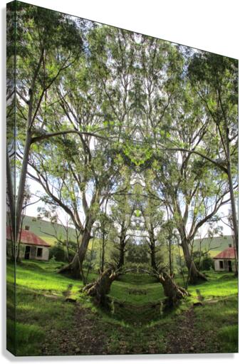 BETWEEN NEIGHBOURS Canvas Print