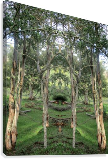 PARK 1 Canvas Print