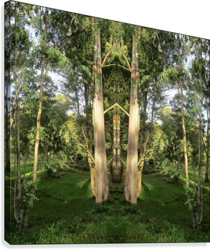 PARK 2 Canvas Print
