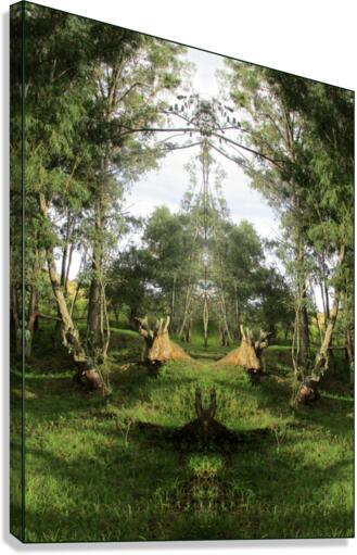 AN APPLE Canvas Print