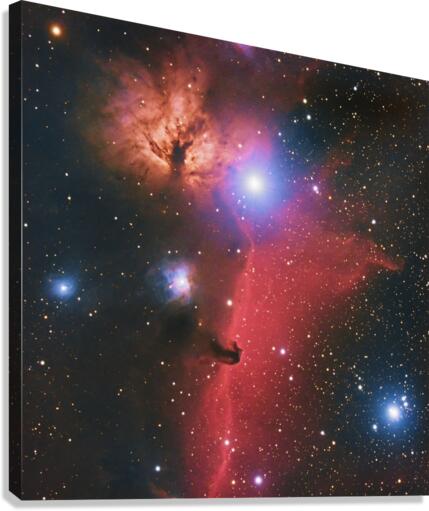 Flame Horsehead Canvas Print