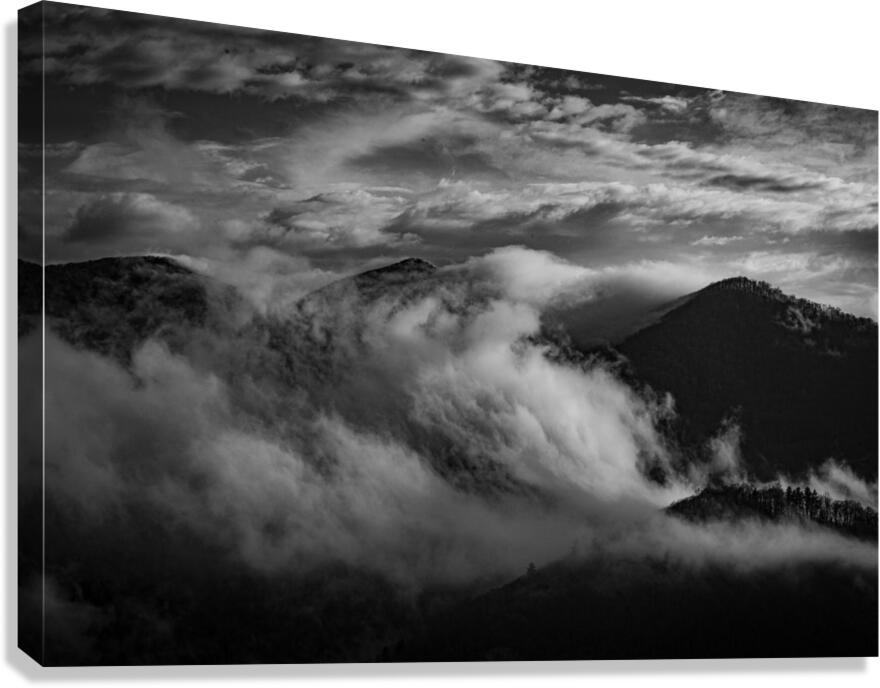 IMG 8786 Canvas Print