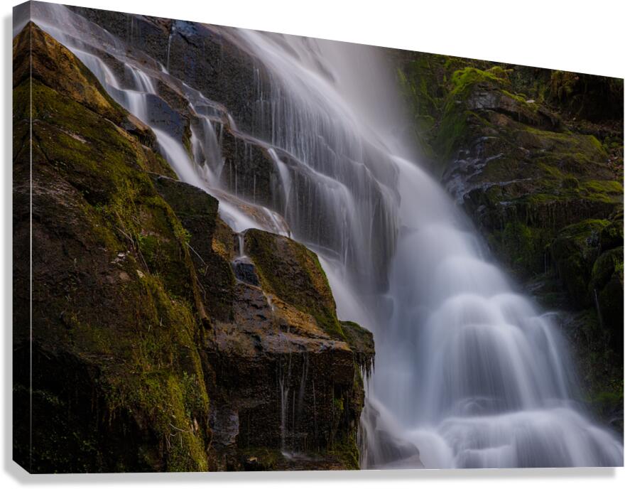 IMG 9285 Canvas Print