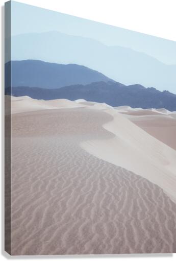 Desert Dreams Canvas Print