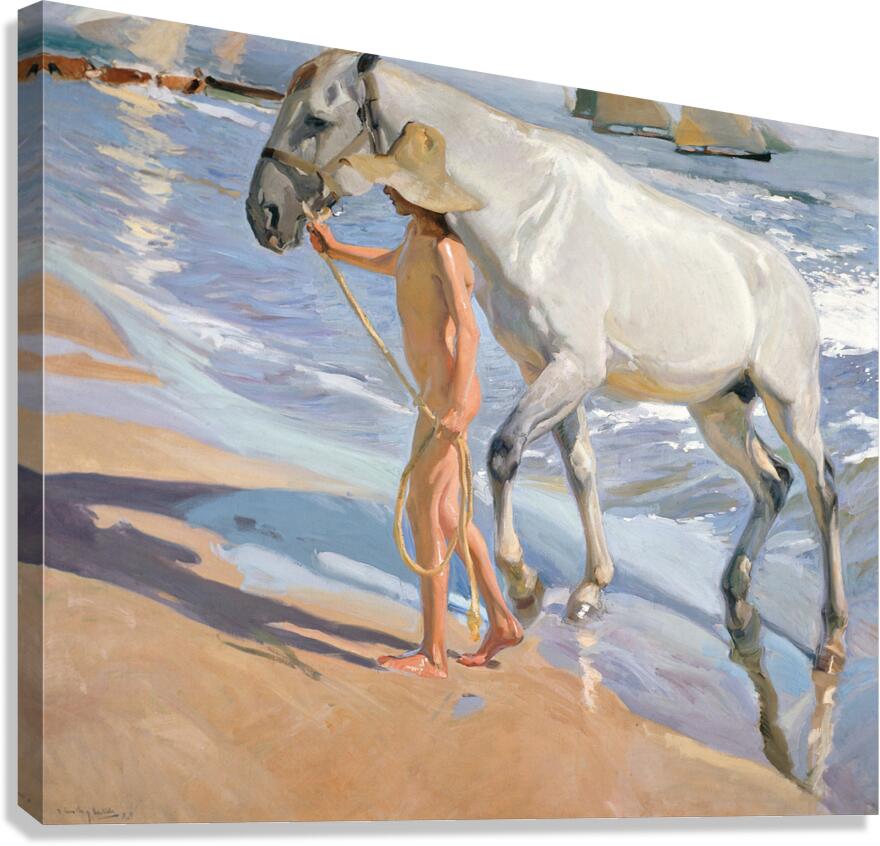 Joaquin Sorolla y Bastida   The Horse’s Bath Canvas Print