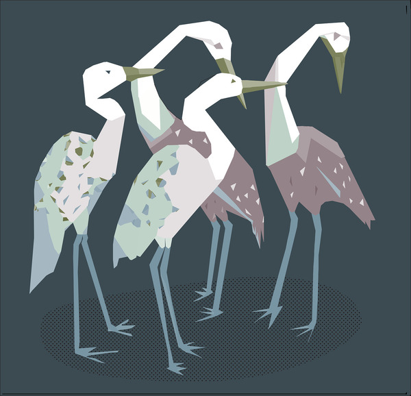 birds  Print
