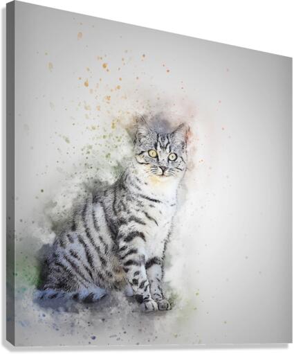 cat drawing Canvas Print