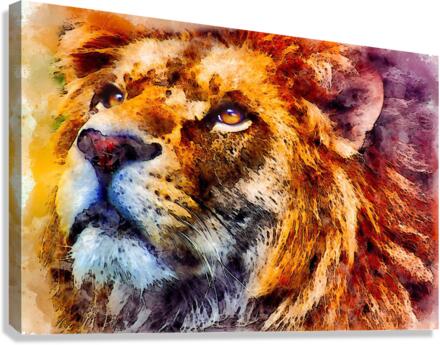 lion Wild Canvas Print