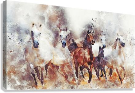 horses  Canvas Print