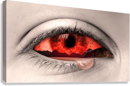 eye manipulation Canvas Print