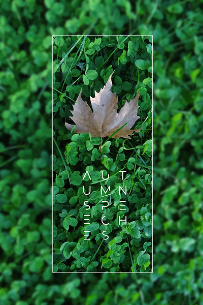 Plain tree leaf on clover meadow by iRT