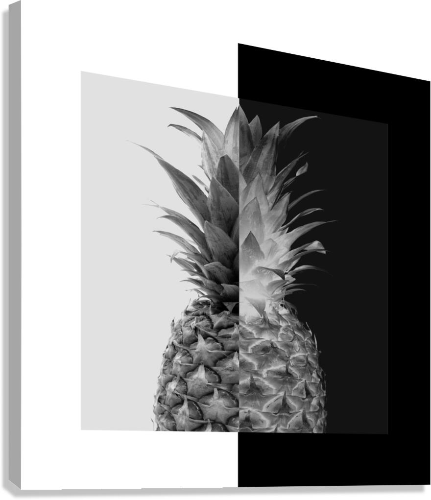 Pineapple Ananas  Canvas Print