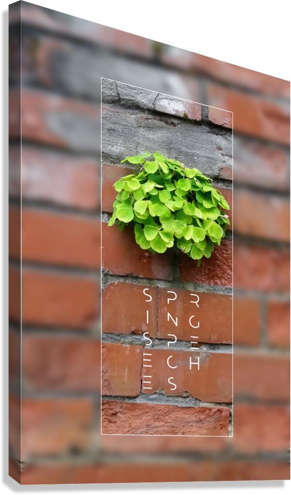 Spring Speeches Canvas Print