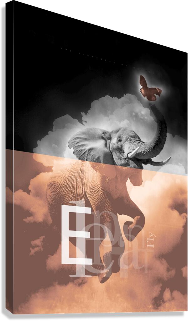 Flying elephant Canvas Print