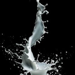 Milky drop volute