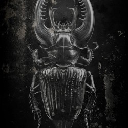 Alien bug