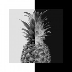 Pineapple Ananas 