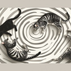 Cat in stripes